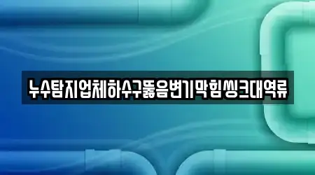누수탐지업체하수구뚫음변기막힘씽크대역류
