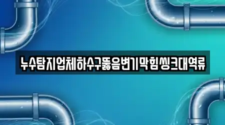 누수탐지업체하수구뚫음변기막힘씽크대역류