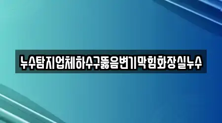 누수탐지업체하수구뚫음변기막힘화장실누수