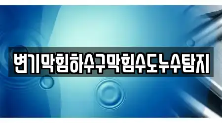 변기막힘하수구막힘수도누수탐지