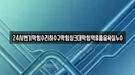 24시변기막힘수리하수구막힘싱크대막힘역류뚫음욕실누수