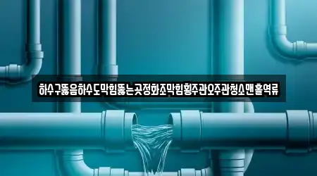 하수구뚫음하수도막힘뚫는곳정화조막힘횡주관오주관청소맨홀역류