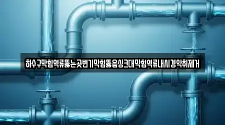 하수구막힘역류뚫는곳변기막힘뚫음싱크대막힘역류내시경악취제거