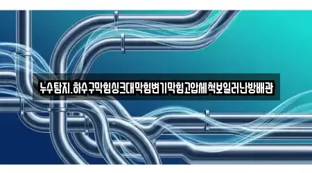 누수탐지.하수구막힘싱크대막힘변기막힘고압세척보일러난방배관