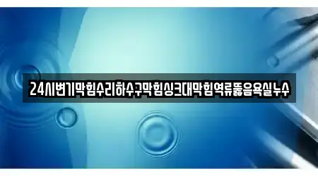 24시변기막힘수리하수구막힘싱크대막힘역류뚫음욕실누수