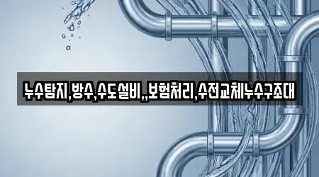 누수탐지,방수,수도설비,,보험처리,수전교체누수구조대