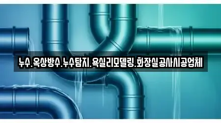 누수.옥상방수.누수탐지.욕실리모델링.화장실공사시공업체