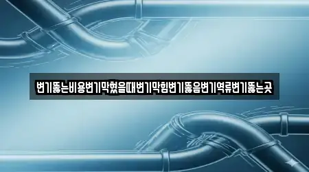 변기뚫는비용변기막혔을때변기막힘변기뚫음변기역류변기뚫는곳