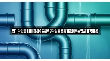 변기막혔을때배관하수도하수구막힘뚫음뚫기뚫어주는업체가격비용