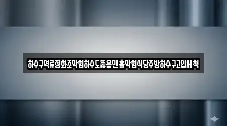 4 전문 서울 창천동 하수구 역류 안내