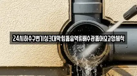 서울특별시 묵정동 근처 배수관 막힘 업체 2곳 위치