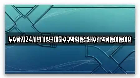 누수탐지24시변기싱크대하수구막힘뚫음배수관역류뚫어뚫어요