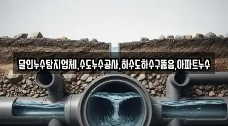 달인누수탐지업체,수도누수공사,하수도하수구뚫음,아파트누수