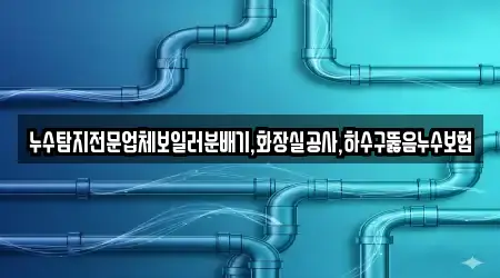 누수탐지전문업체보일러분배기,화장실공사,하수구뚫음누수보험