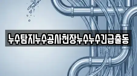 누수탐지누수공사천장누수누수긴급출동