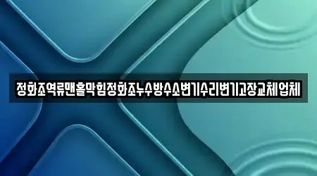 정화조역류맨홀막힘정화조누수방수소변기수리변기고장교체업체