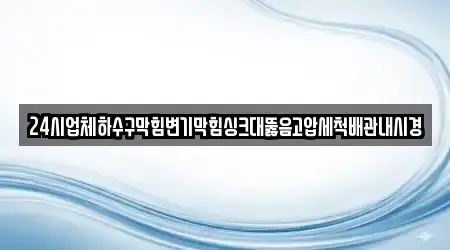 24시업체하수구막힘변기막힘싱크대뚫음고압세척배관내시경