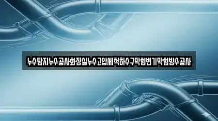 누수탐지누수공사화장실누수고압세척하수구막힘변기막힘방수공사