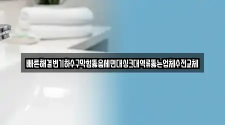 빠른해결변기하수구막힘뚫음세면대싱크대역류뚫는업체수전교체