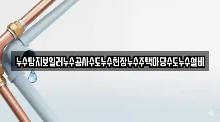 누수탐지보일러누수공사수도누수천장누수주택마당수도누수설비
