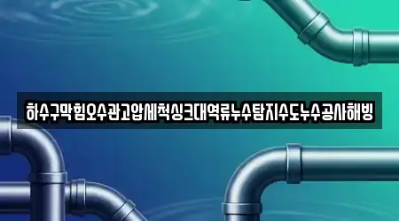 하수구막힘오수관고압세척싱크대역류누수탐지수도누수공사해빙