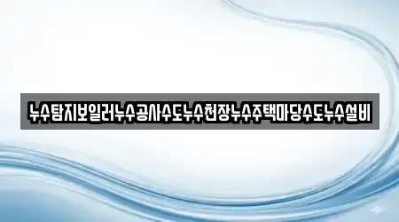 누수탐지보일러누수공사수도누수천장누수주택마당수도누수설비