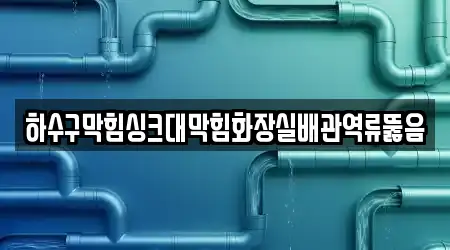 하수구막힘싱크대막힘화장실배관역류뚫음