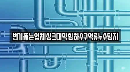변기뚫는업체싱크대막힘하수구역류누수탐지
