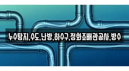 누수탐지,수도,난방,하수구,정화조배관공사,방수