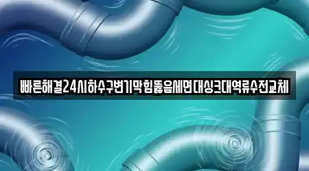 빠른해결24시하수구변기막힘뚫음세면대싱크대역류수전교체