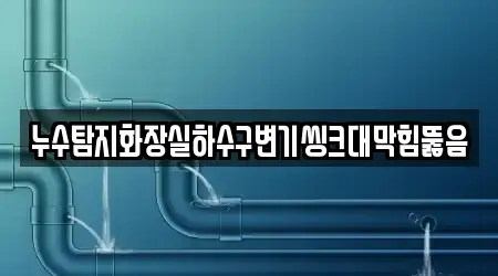 누수탐지화장실하수구변기씽크대막힘뚫음