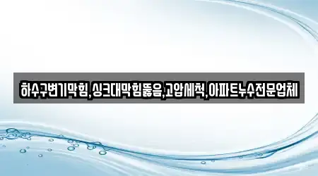 하수구변기막힘,싱크대막힘뚫음,고압세척,아파트누수전문업체
