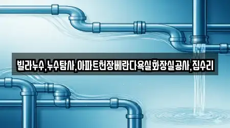 빌라누수,누수탐사,아파트천장베란다욕실화장실공사,집수리