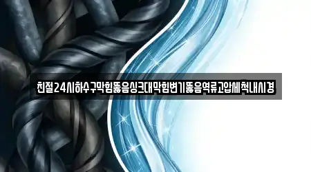 친절24시하수구막힘뚫음싱크대막힘변기뚫음역류고압세척내시경