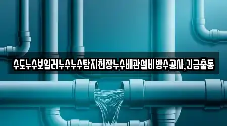수도누수보일러누수누수탐지천장누수배관설비방수공사,긴급출동