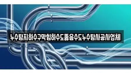 누수탐지하수구막힘하수도뚫음수도누수탐사공사업체