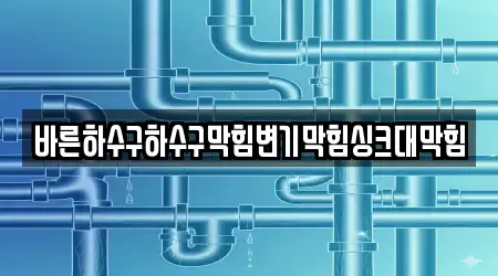 바른하수구하수구막힘변기막힘싱크대막힘
