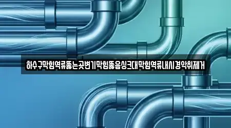 하수구막힘역류뚫는곳변기막힘뚫음싱크대막힘역류내시경악취제거