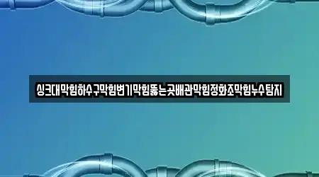 싱크대막힘하수구막힘변기막힘뚫는곳배관막힘정화조막힘누수탐지