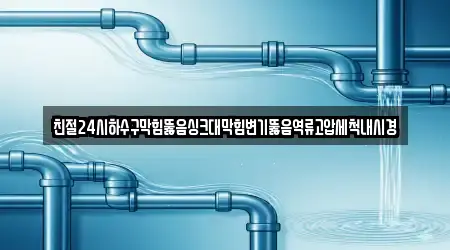 친절24시하수구막힘뚫음싱크대막힘변기뚫음역류고압세척내시경