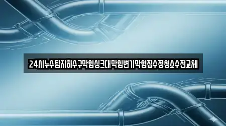 24시누수탐지하수구막힘싱크대막힘변기막힘집수정청소수전교체