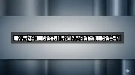 배수구막혔을때배관뚫음변기막힘하수구역류뚫음뚫어배관뚫는업체