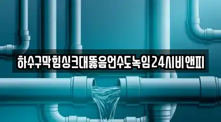 싱크대뚫음,변기뚫음,하수구뚫음,누수,하수구막힘 9곳 안내 중구