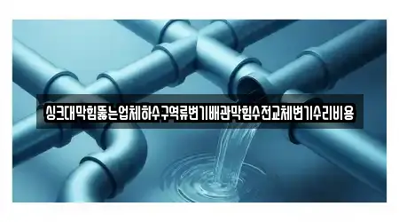 싱크대막힘뚫는업체하수구역류변기배관막힘수전교체변기수리비용