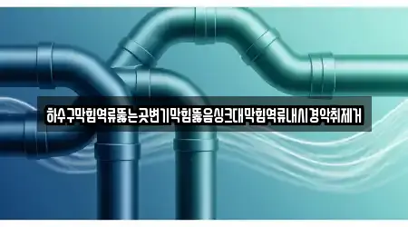 하수구막힘역류뚫는곳변기막힘뚫음싱크대막힘역류내시경악취제거