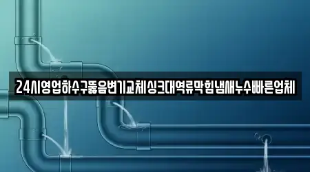 24시영업하수구뚫음변기교체싱크대역류막힘냄새누수빠른업체