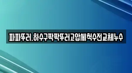 파파뚜러.하수구팍팍뚜러고압세척수전교체누수