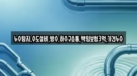 누수탐지,수도설비,방수,하수구소통,책임보험3억,가건누수