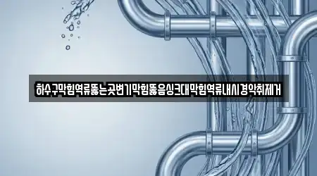 하수구막힘역류뚫는곳변기막힘뚫음싱크대막힘역류내시경악취제거