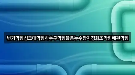 변기막힘싱크대막힘하수구막힘뚫음누수탐지정화조막힘배관막힘